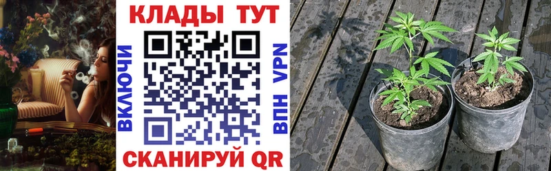 Что такое Курган Каннабис  Меф  СОЛЬ  Кетамин  КОКАИН  Гашиш 
