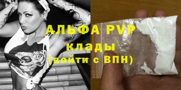 прущие крисы Гусев