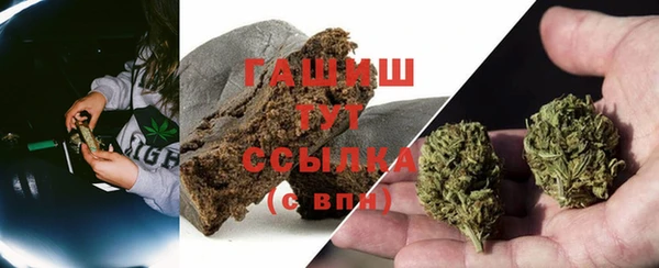 эйфоретик Арсеньев
