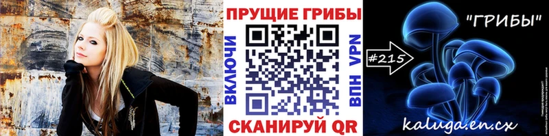 даркнет состав  цены   Курган  Галлюциногенные грибы прущие грибы  omg ссылка 