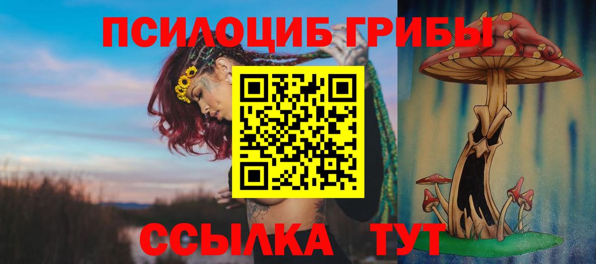 Псилоцибиновые грибы Psilocybine cubensis  Вход с VPN  Курган 