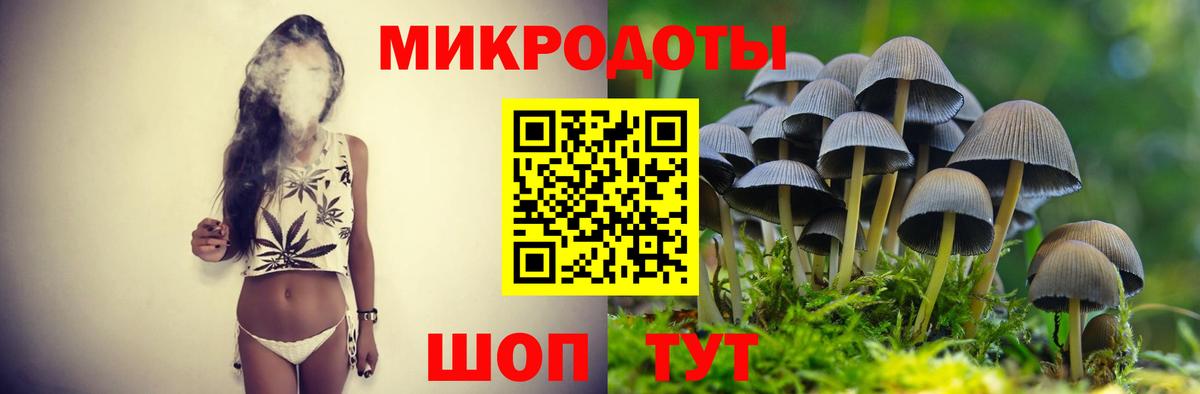 Псилоцибиновые грибы Psilocybe Курган